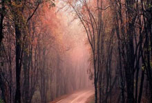 南宫28：奥格斯堡vs拜仁：拜仁后防线严重伤病，奥格斯堡能不能趁虚而入？.