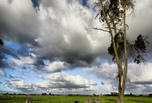 卡拉菲奥里:塔帅去年发我家人照片给我,说服我加盟阿森纳.