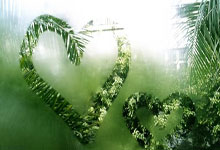 德天空：拜仁没和威廉斯具体谈判，他们在为签维尔茨储备资金.