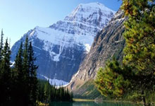 南宫28：中国女子冰壶队世锦赛夺铜直通冬奥会2025-03-24.